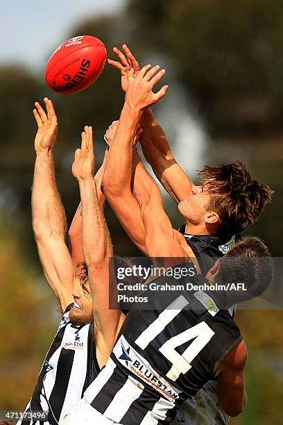 Jeremy Taylor, Clinton Young and Darcy Moore of the Collingwood Magpies compete in the air during the round two VFL match between the Essendon...