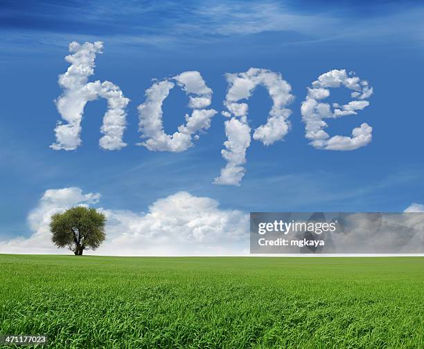 hope and field - skywriting stock pictures, royalty-free photos & images