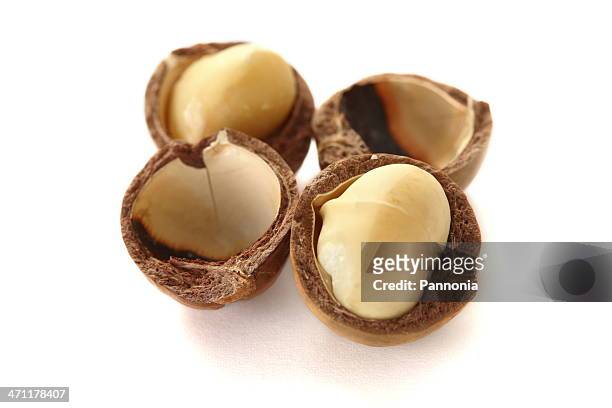 macadamia isolated on white - macadamia nut 個照片及圖片檔