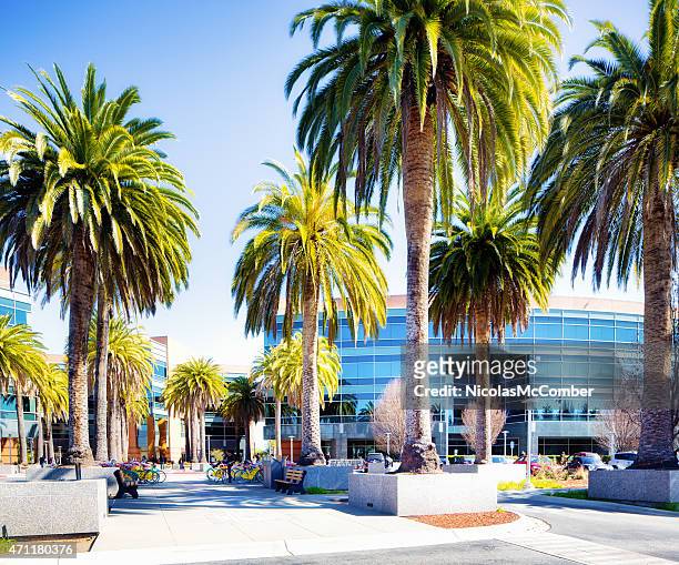 google mountain view-califórnia campus com árvores de palma - mountain view califórnia imagens e fotografias de stock
