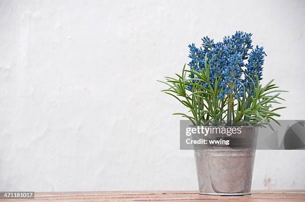 bouquet  of lavender in a pail on white background - flower bucket stock pictures, royalty-free photos & images