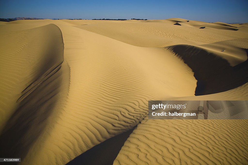 Dunes de sable
