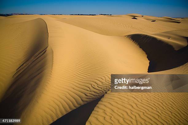 sand dunes - pismo beach stock pictures, royalty-free photos & images