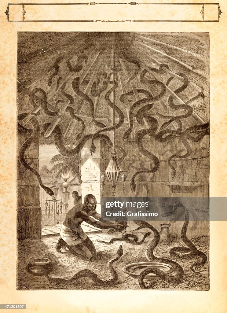 Engraving black shaman practicing vodoo 1881