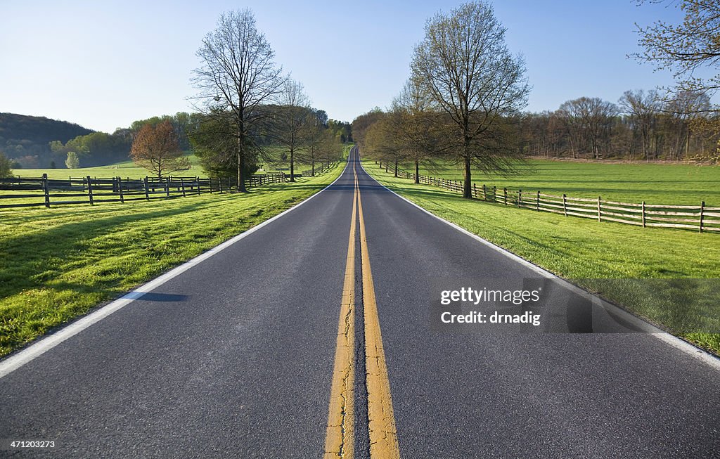 Route de campagne sur un matin de printemps