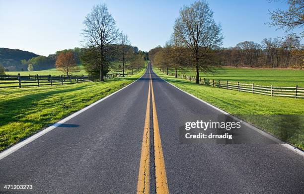 country road on a spring  morning - yellow line stockfoto's en -beelden