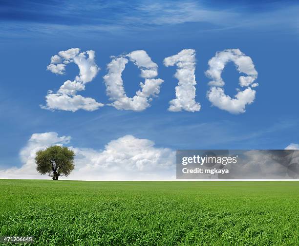 new year 2010 and field - luchtschrift stockfoto's en -beelden