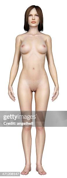 human body of a woman, for study - human face anatomy stock pictures, royalty-free photos & images