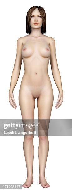 human body of a woman, for study - female body parts bildbanksfoton och bilder