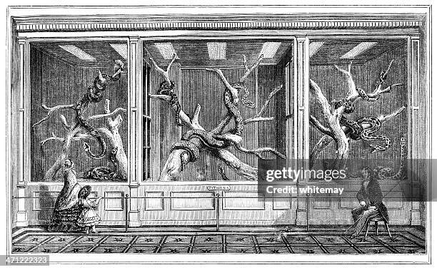 4,008 Museum Interior Plants Stock Photos, High-Res Pictures, and ...