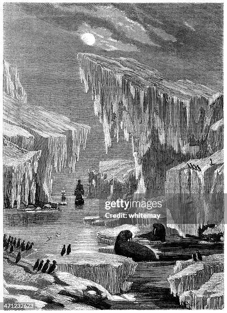 'erebus' and 'terror' - search for the north west passage - franklin tennessee stock illustrations