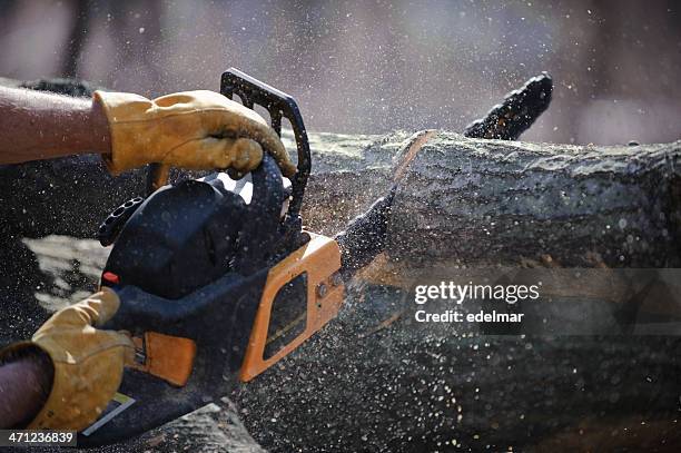 sierra de cadena de cortes de un árbol caído - cortar fotografías e imágenes de stock