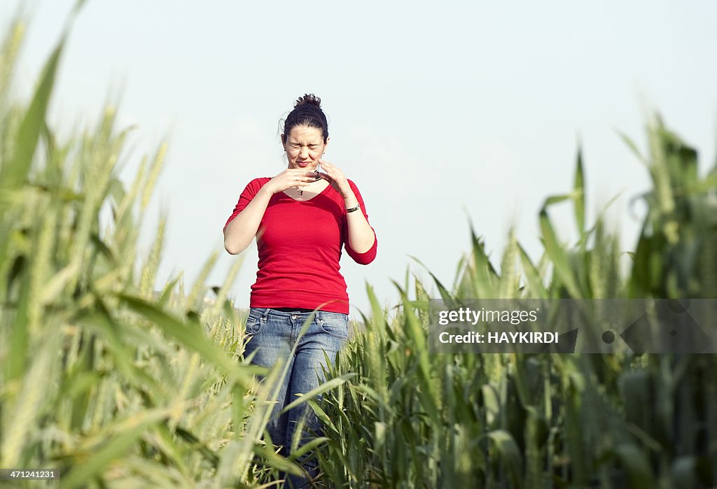 Allergy at Spring