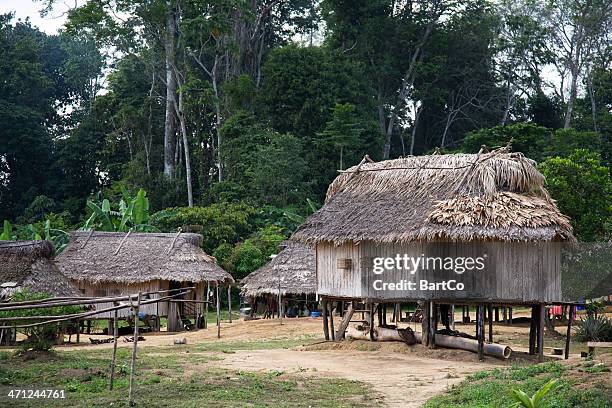 suriname, village. - gazon stock pictures, royalty-free photos & images