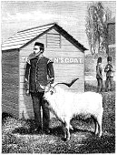 Regimental goat mascot standing to attention (Victorian illustration)