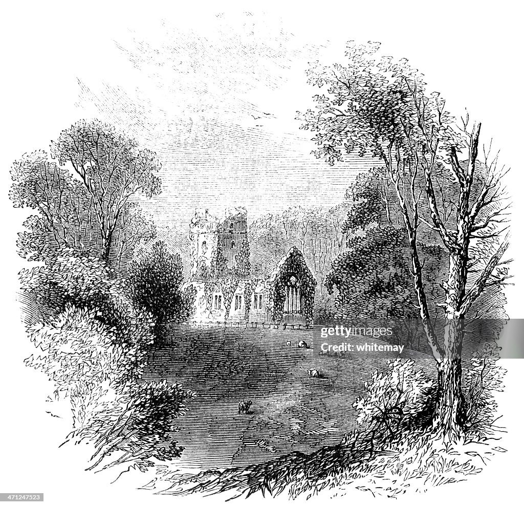 Muckross Abbey, Killarney (Victorian sketch)