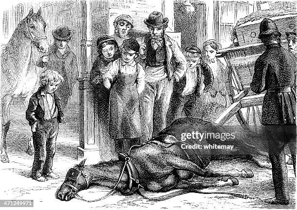 death of an old overworked horse (victorian illustration) - dead animal stock illustrations