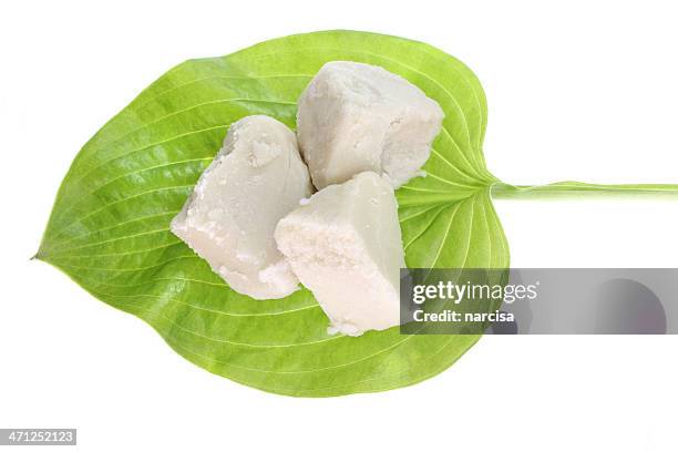 raw shea butter on green leaf - shea butter stock pictures, royalty-free photos & images