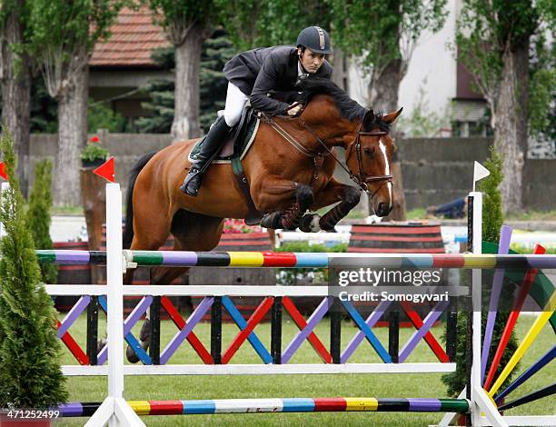 show jumping - hindernisrace paardenrennen stockfoto's en -beelden