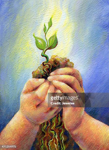 child's hands cradling small plant - sprout stock illustrations