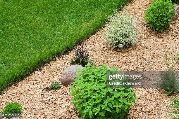 wood chip mulch in perennial flower garden - flower bed stock pictures, royalty-free photos & images