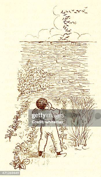 randolph caldecott sketch of a small victorian boy scaring birds - walled garden stock illustrations