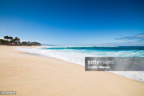 dream beach hawaii - north shore oahu stock pictures, royalty-free photos & images
