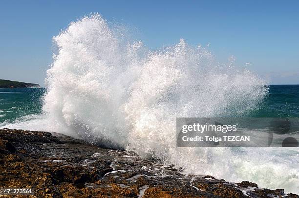 wave crashing against the beach - water sprayer stock pictures, royalty-free photos & images