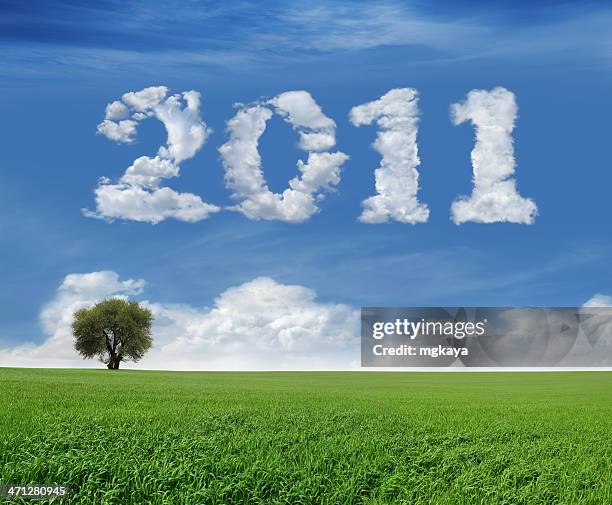 new year 2011 and field - luchtschrift stockfoto's en -beelden