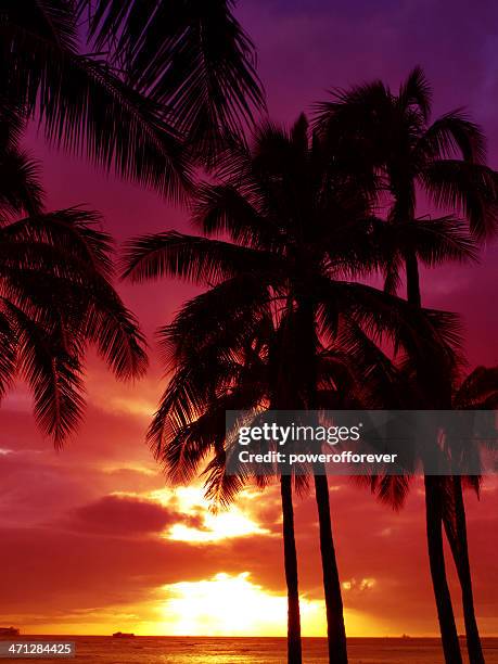 hawaiian sunset - waikiki bildbanksfoton och bilder