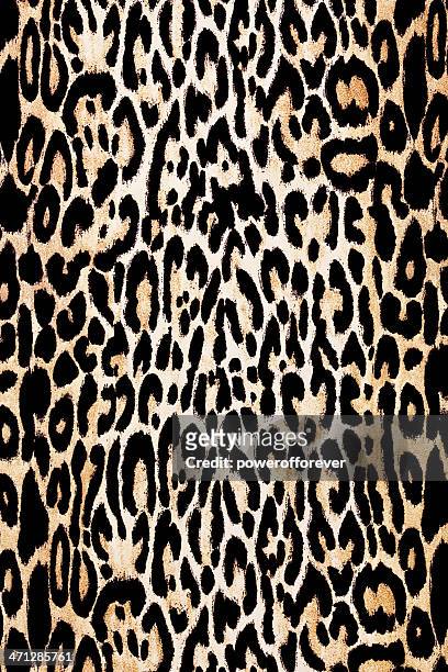 piel de leopardo textura - patrón de leopardo fotografías e imágenes de stock