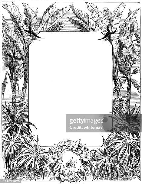 victorian grenze mit palmen - exoticism stock-grafiken, -clipart, -cartoons und -symbole