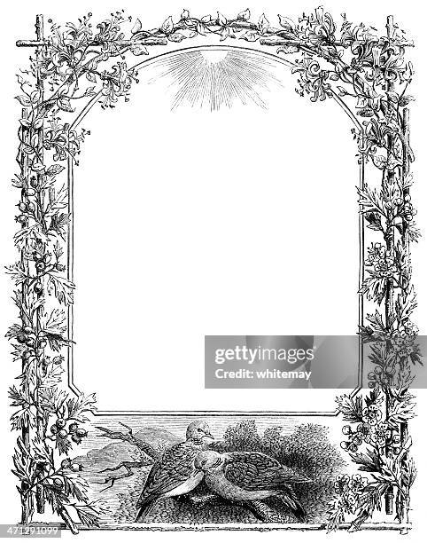 victorian border with vines and doves - hawthorn stock illustrations