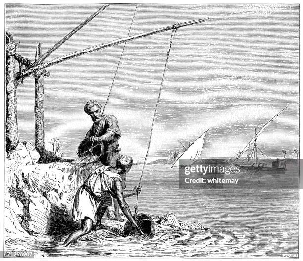 irrigation in the nile valley, egypt (1882 engraving) - nile river agriculture stock illustrations