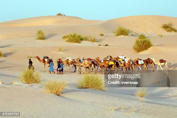砂漠の caravan - 西アフリカ マリ共和国 ストックフォトと画像