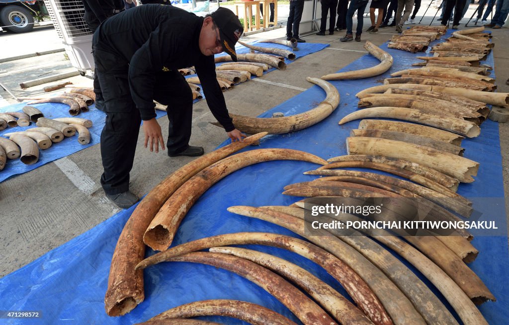 THAILAND-ENVIRONMENT-CRIME-IVORY