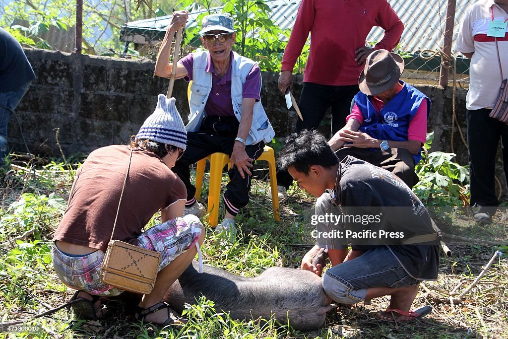 The Mambunog (lbaloy & Kankanaey tribal priest) on...