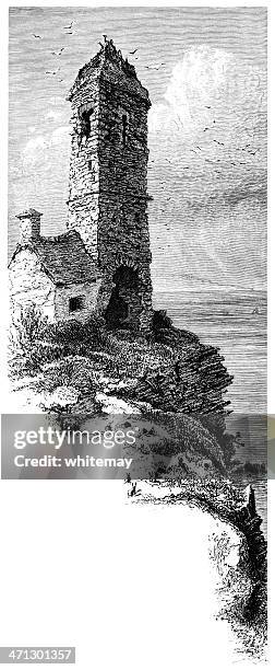 puffin island, off the isle of anglesey - wales stock illustrations