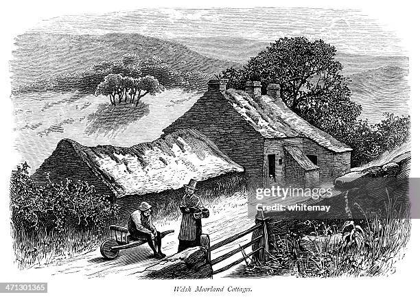 stockillustraties, clipart, cartoons en iconen met welsh moorland cottages with people - welshe cultuur