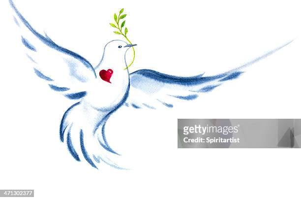 white dove spirit of love and peace - white pigeon stock illustrations
