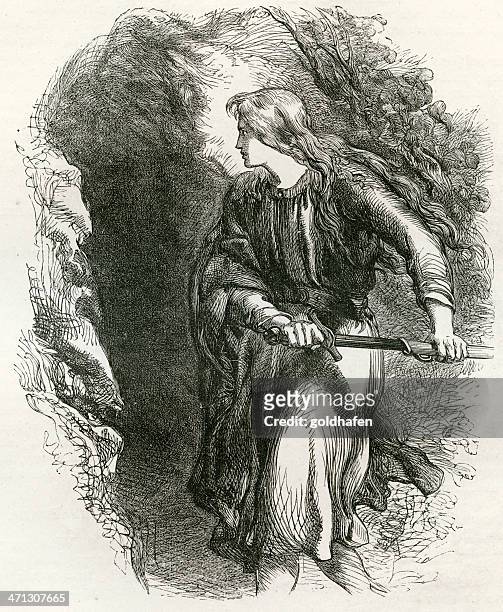 courage - young lady with a sword - amazon warriors stock illustrations