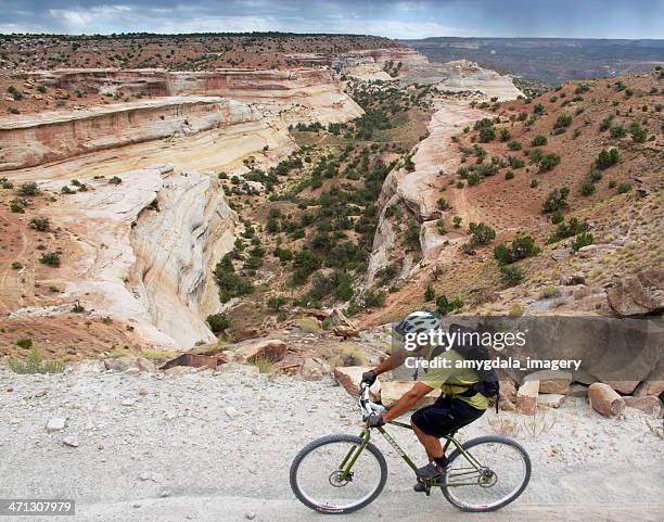 mountain biking - fruita colorado stock pictures, royalty-free photos & images