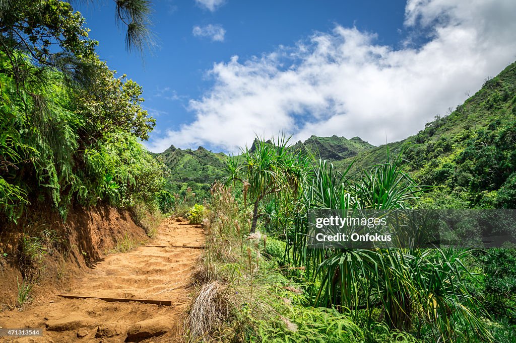 Kalalau Trail Landscape, Napali Coast State Park, Kauai, Hawaii