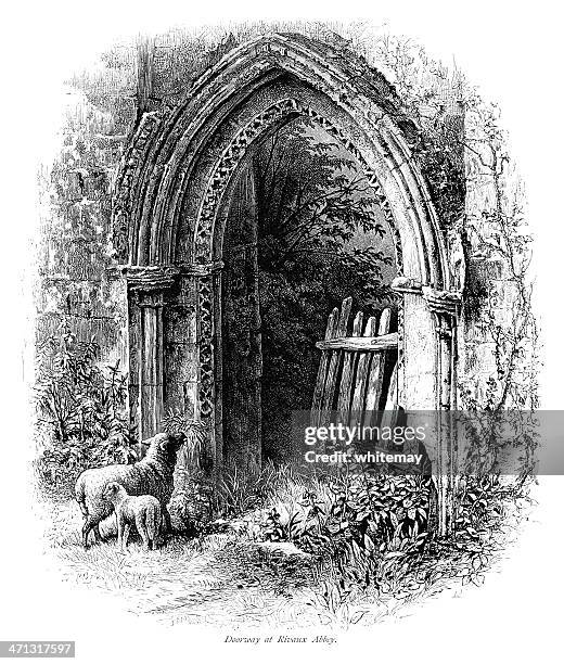 doorway at rievaulx abbey, north yorkshire - rievaulx abbey stock illustrations