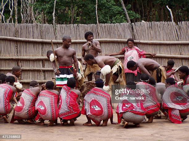 swazi people performing tribal dance - swaziland 個照片及圖片檔