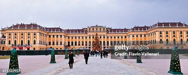 schönbrunn palace, vienna - schonbrunn palace stock pictures, royalty-free photos & images