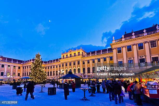 weihnachtsmarkt in schönbrunn - wien schönbrunn stock-fotos und bilder