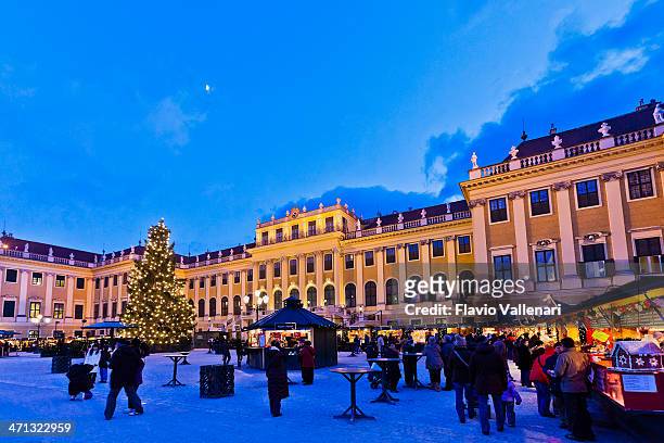 christmas market at schönbrunn - schonbrunn palace vienna stock pictures, royalty-free photos & images
