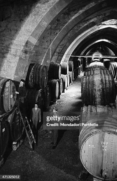 Man climbing a ladder to check a cask at Florio wine cellar. Marsala, 1950s