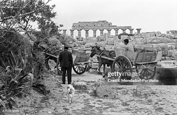 Two carts standing in front of the Temple C of Selinus. Castelvetrano, 1950s